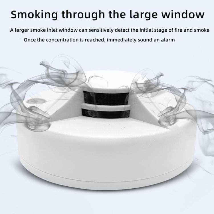 Rilevatore di fumo autonomo per uso domestico, English, Russian