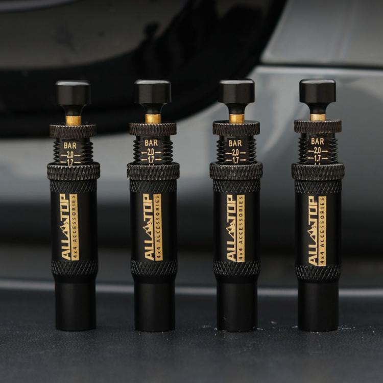 Kit sgonfiatori pneumatici regolabili 10-30 PSI con valvola in ot