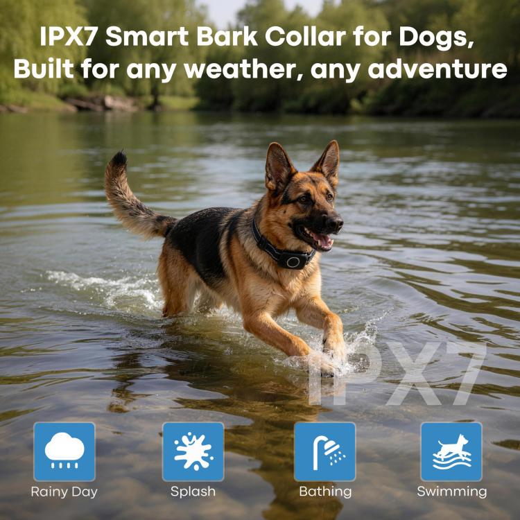 Dispositivo antiabbaio a scossa elettrica con app intelligente, collare intelligente per l'addestramento degli animali domestici.