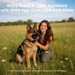 Dispositivo antiabbaio a scossa elettrica con app intelligente, collare intelligente per l'addestramento degli animali domestici.