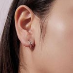 S925 Sterling Silver White Gold Plated Double-Layer Moissanite Sparkling Earrings, MSE136