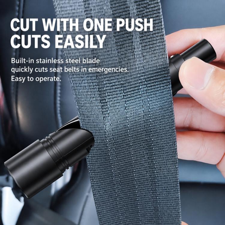 Alt immagine