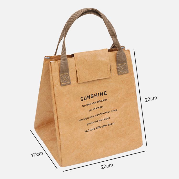 Insulated Tyvek Lunch Bag Thermal Tote Box For Work Office
