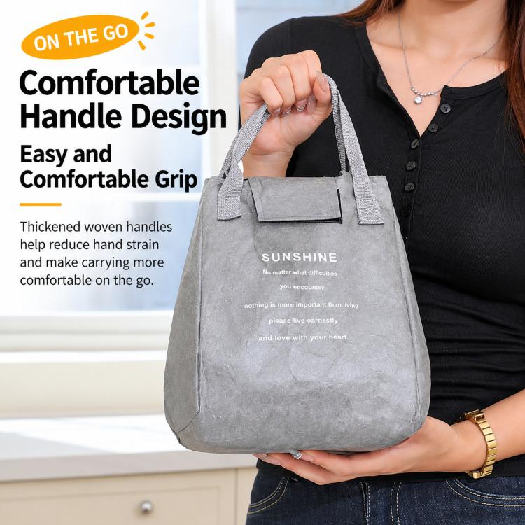 Insulated Tyvek Lunch Bag Thermal Tote Box For Work Office