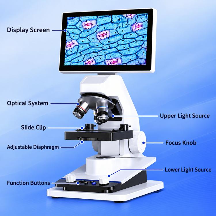 BM070 LCD Digital Biological Microscope 3 Objective Lenses HDMI USB 7 Inch Screen