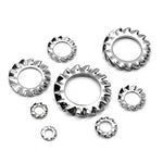 304 Stainless Steel External Tooth Lock Washers Assortment Kit, 160 PCS/Box