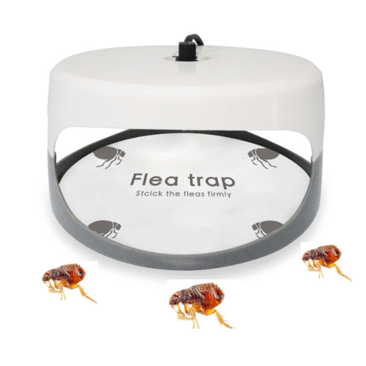 Lampada antipulci per animali domestici con trappola adesiva