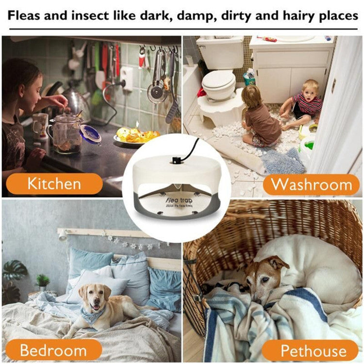 Lampada antipulci per animali domestici con trappola adesiva