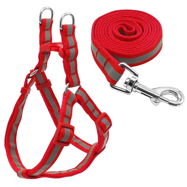 Set di guinzagli per cani riflettenti in nylon per cani di taglia piccola e media, S, M