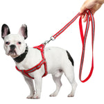 Set di guinzagli per cani riflettenti in nylon per cani di taglia piccola e media, S, M