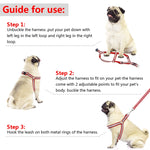 Set di guinzagli per cani riflettenti in nylon per cani di taglia piccola e media, S, M