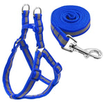 Set di guinzagli per cani riflettenti in nylon per cani di taglia piccola e media, S, M
