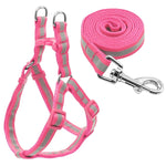 Set di guinzagli per cani riflettenti in nylon per cani di taglia piccola e media, S, M