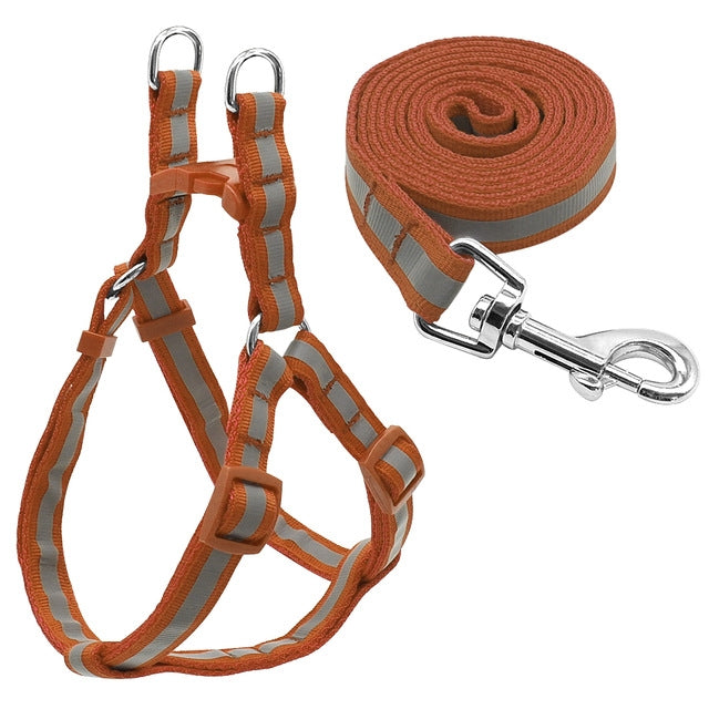 Set di guinzagli per cani riflettenti in nylon per cani di taglia piccola e media, S, M