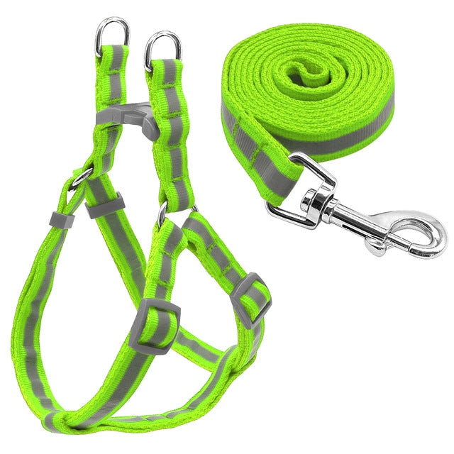 Set di guinzagli per cani riflettenti in nylon per cani di taglia piccola e media, S, M