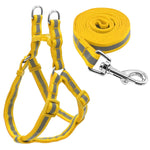 Set di guinzagli per cani riflettenti in nylon per cani di taglia piccola e media, S, M