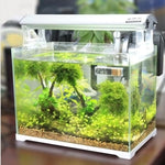 Termometro per acquario per acquario, misurazione elettronica digitale della temperatura LCD multifunzionale 3D
