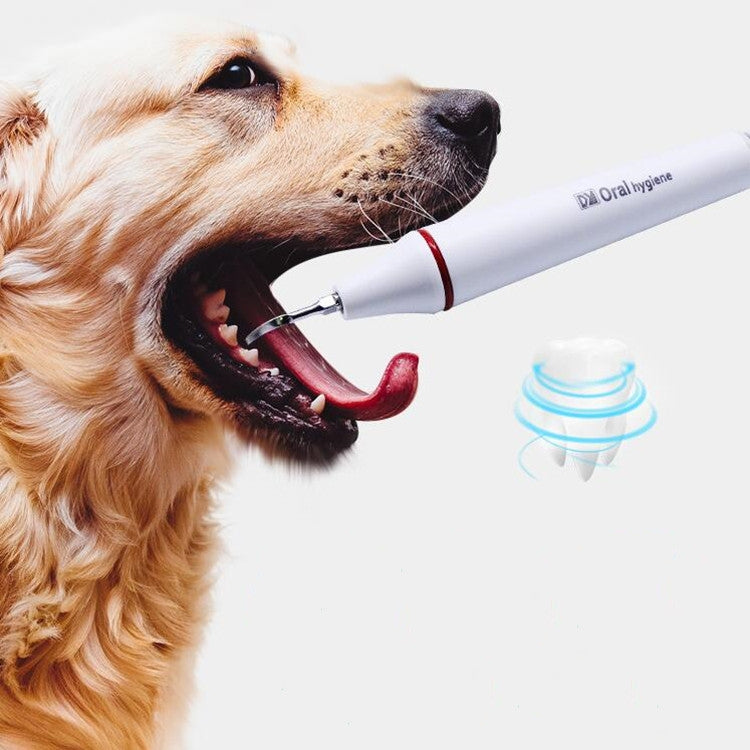 Lavatrice dentale ad ultrasuoni per rimozione calcoli di denti di cani da compagnia, CN Plug, US Plug, UK Plug, EU Plug