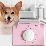Lavatrice dentale ad ultrasuoni per rimozione calcoli di denti di cani da compagnia, CN Plug, US Plug, UK Plug, EU Plug