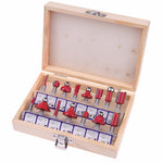 Set di punte per fresa in carburo di tungsteno con gambo Set di utensili per fresa per legno Set di frese per fresa per legno Set di punte per fresa per utensili in legno, Cutter Tool Set