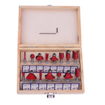 Set di punte per fresa in carburo di tungsteno con gambo Set di utensili per fresa per legno Set di frese per fresa per legno Set di punte per fresa per utensili in legno, Cutter Tool Set