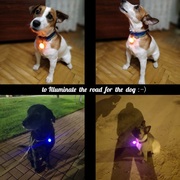 Collare per cani e gatti con torcia a LED, pendente luminoso, collari decorativi luminosi