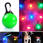 Collare per cani e gatti con torcia a LED, pendente luminoso, collari decorativi luminosi
