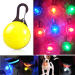 Collare per cani e gatti con torcia a LED, pendente luminoso, collari decorativi luminosi