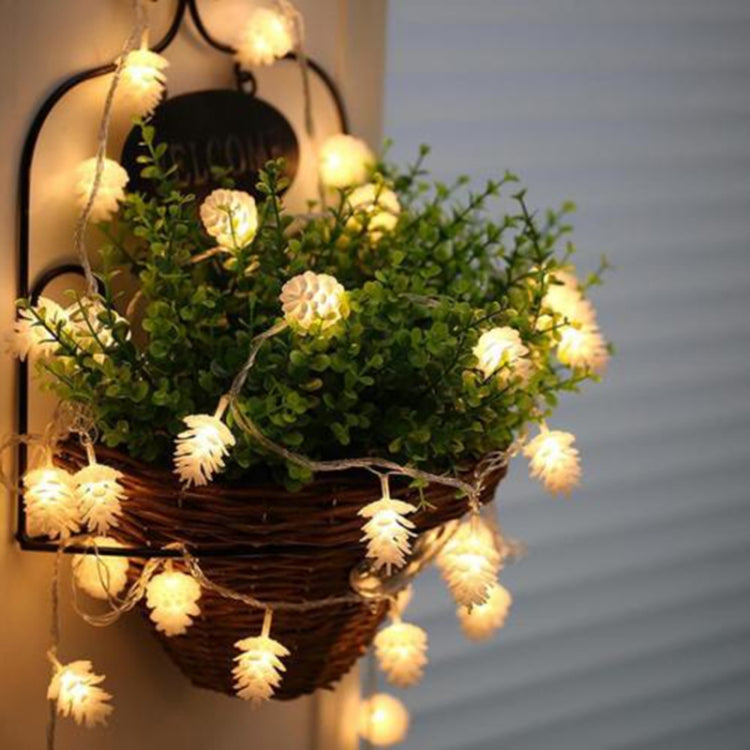 Luce a corda solare 20 LED per esterni decorativa