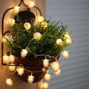 Luce a corda solare 20 LED per esterni decorativa
