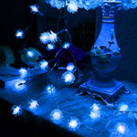Luce a corda solare 20 LED per esterni decorativa
