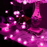 Luce a corda solare 20 LED per esterni decorativa
