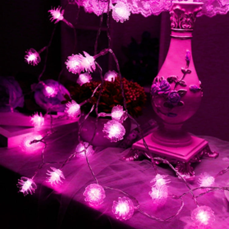 Luce a corda solare 20 LED per esterni decorativa