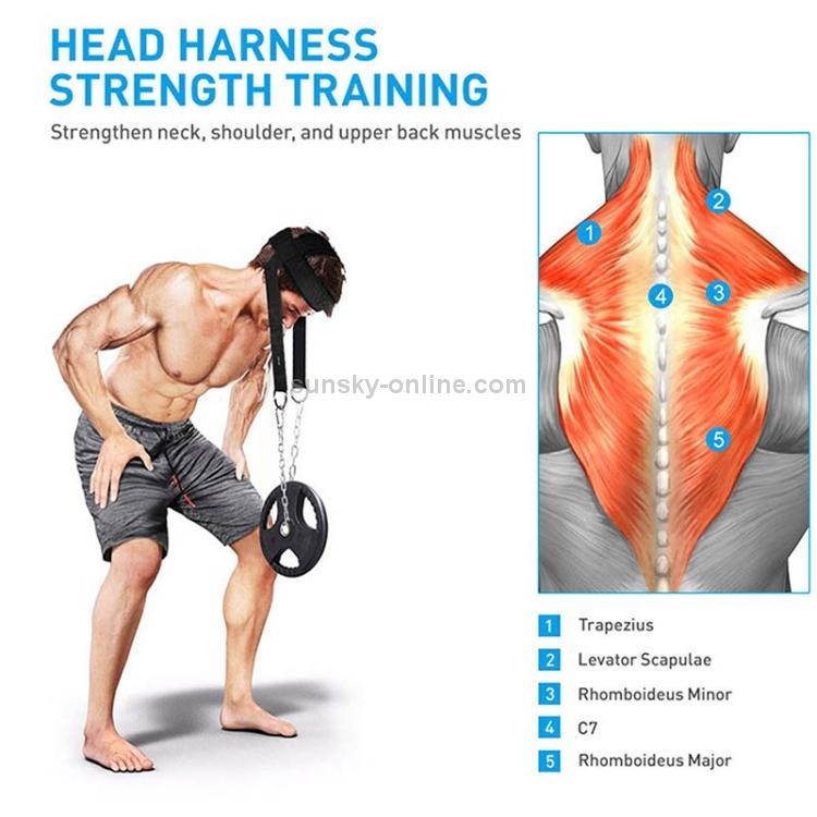 Allenatore per la testa e il collo Allenatore per la forza portante della spalla, Head and Neck Strength Trainer