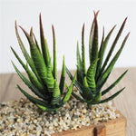 Mini piante artificiali in plastica di aloe, artigianato, floristica, paesaggio, giardino, famiglia, ufficio, decorazione