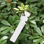 Etichetta per albero da appendere per semi di alberello da giardinaggio da 100 pezzi, Plant Label 5 White, Plant Label 5 Pink, Plant Label 5 Yellow, Plant Label 5 Green, Plant Label 5 Blue, Plant Label 5 Red
