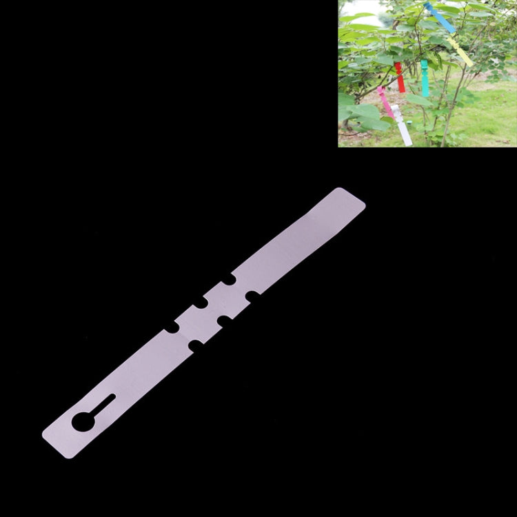 Etichetta per albero da appendere per semi di alberello da giardinaggio da 100 pezzi, Plant Label 5 White, Plant Label 5 Pink, Plant Label 5 Yellow, Plant Label 5 Green, Plant Label 5 Blue, Plant Label 5 Red