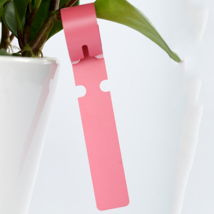 Etichetta per albero da appendere per semi di alberello da giardinaggio da 100 pezzi, Plant Label 5 White, Plant Label 5 Pink, Plant Label 5 Yellow, Plant Label 5 Green, Plant Label 5 Blue, Plant Label 5 Red