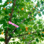 Etichetta per albero da appendere per semi di alberello da giardinaggio da 100 pezzi, Plant Label 5 White, Plant Label 5 Pink, Plant Label 5 Yellow, Plant Label 5 Green, Plant Label 5 Blue, Plant Label 5 Red
