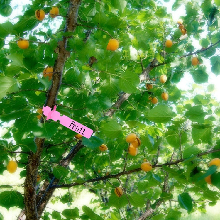 Etichetta per albero da appendere per semi di alberello da giardinaggio da 100 pezzi, Plant Label 5 White, Plant Label 5 Pink, Plant Label 5 Yellow, Plant Label 5 Green, Plant Label 5 Blue, Plant Label 5 Red