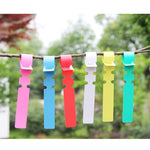 Etichetta per albero da appendere per semi di alberello da giardinaggio da 100 pezzi, Plant Label 5 White, Plant Label 5 Pink, Plant Label 5 Yellow, Plant Label 5 Green, Plant Label 5 Blue, Plant Label 5 Red