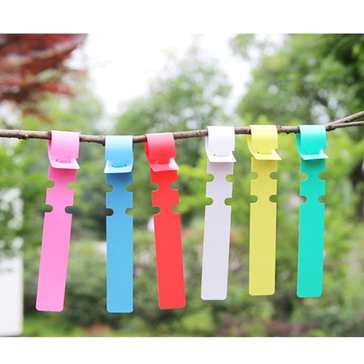 Etichetta per albero da appendere per semi di alberello da giardinaggio da 100 pezzi, Plant Label 5 White, Plant Label 5 Pink, Plant Label 5 Yellow, Plant Label 5 Green, Plant Label 5 Blue, Plant Label 5 Red