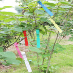 Etichetta per albero da appendere per semi di alberello da giardinaggio da 100 pezzi, Plant Label 5 White, Plant Label 5 Pink, Plant Label 5 Yellow, Plant Label 5 Green, Plant Label 5 Blue, Plant Label 5 Red
