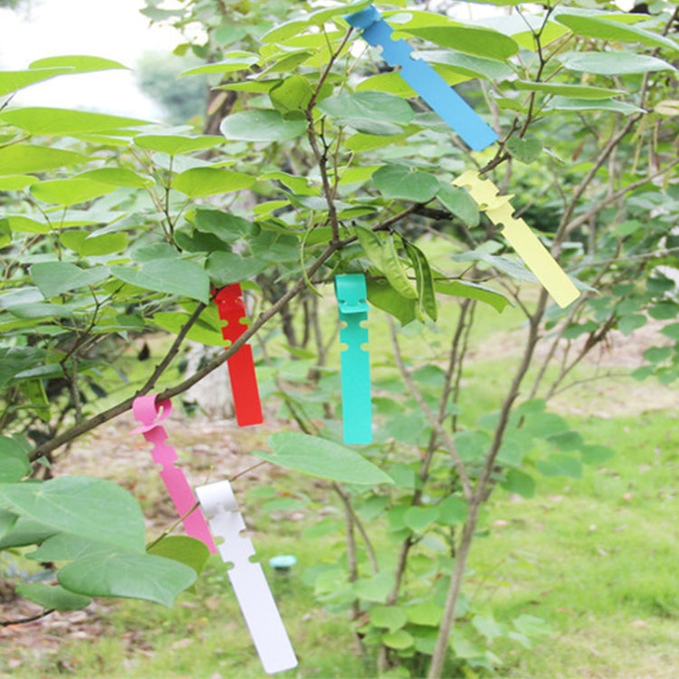 Etichetta per albero da appendere per semi di alberello da giardinaggio da 100 pezzi, Plant Label 5 White, Plant Label 5 Pink, Plant Label 5 Yellow, Plant Label 5 Green, Plant Label 5 Blue, Plant Label 5 Red