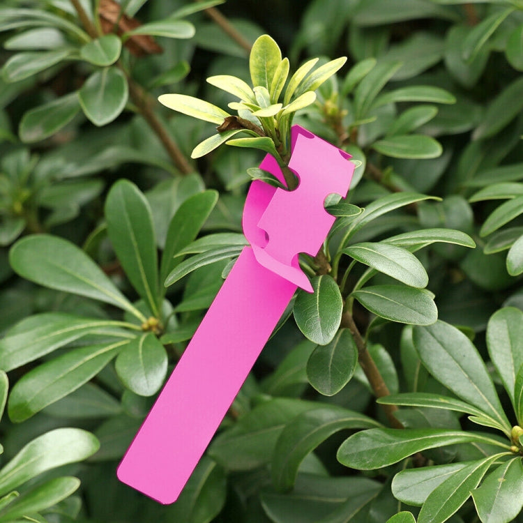 Etichetta per albero da appendere per semi di alberello da giardinaggio da 100 pezzi, Plant Label 5 White, Plant Label 5 Pink, Plant Label 5 Yellow, Plant Label 5 Green, Plant Label 5 Blue, Plant Label 5 Red