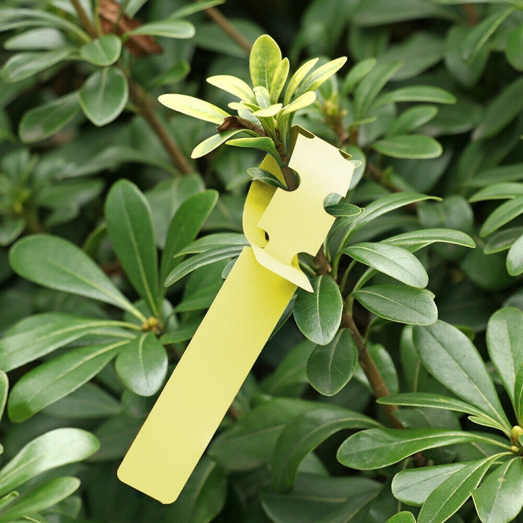 Etichetta per albero da appendere per semi di alberello da giardinaggio da 100 pezzi, Plant Label 5 White, Plant Label 5 Pink, Plant Label 5 Yellow, Plant Label 5 Green, Plant Label 5 Blue, Plant Label 5 Red