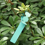 Etichetta per albero da appendere per semi di alberello da giardinaggio da 100 pezzi, Plant Label 5 White, Plant Label 5 Pink, Plant Label 5 Yellow, Plant Label 5 Green, Plant Label 5 Blue, Plant Label 5 Red