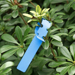 Etichetta per albero da appendere per semi di alberello da giardinaggio da 100 pezzi, Plant Label 5 White, Plant Label 5 Pink, Plant Label 5 Yellow, Plant Label 5 Green, Plant Label 5 Blue, Plant Label 5 Red