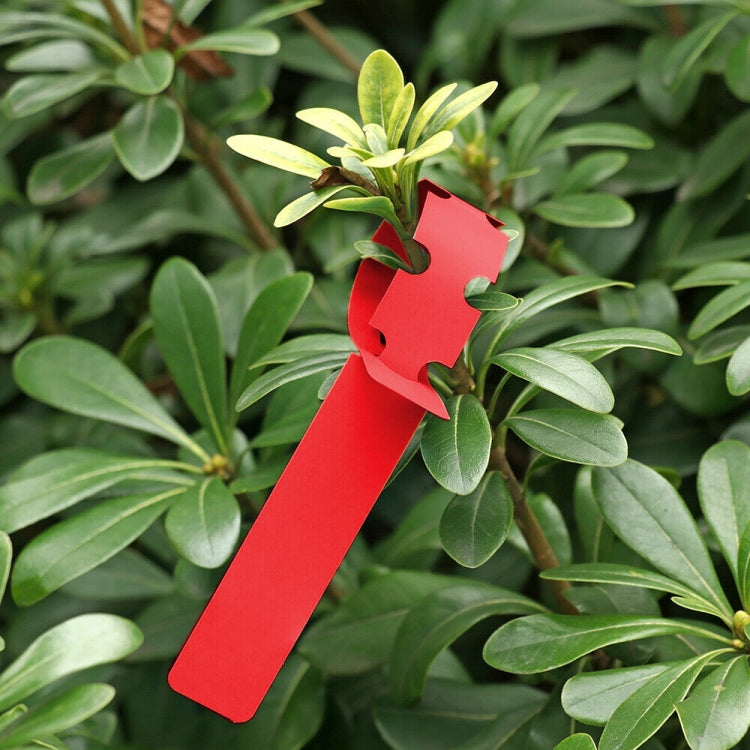 Etichetta per albero da appendere per semi di alberello da giardinaggio da 100 pezzi, Plant Label 5 White, Plant Label 5 Pink, Plant Label 5 Yellow, Plant Label 5 Green, Plant Label 5 Blue, Plant Label 5 Red