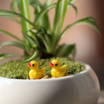 5 pezzi Mini accessori per la casa delle bambole Resina Decorazione tridimensionale per piante di anatra gialla piccola, Yellow Duck Plant Decoration